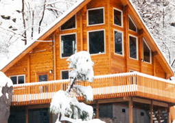 Winter Cabin 86